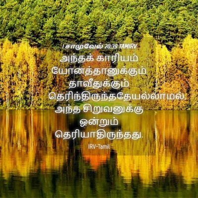 Picture 04 - 1 சாமுவேல் 20:39 TAMIRV - அந்தக் காரியம் - Bible Verse Picture