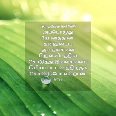 Picture 04 - 1 சாமுவேல் 20:40 TAMIRV - அப்பொழுது - Bible Verse Picture