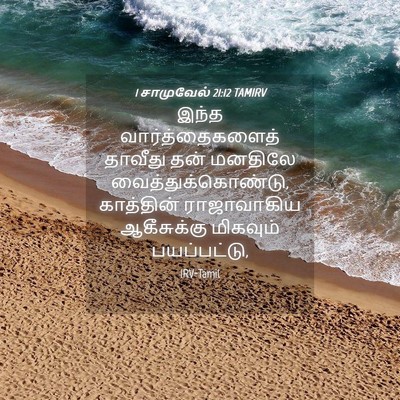 Picture 04 - 1 சாமுவேல் 21:12 TAMIRV - இந்த - Bible Verse Picture