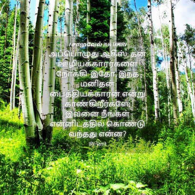 Picture 04 - 1 சாமுவேல் 21:14 TAMIRV - அப்பொழுது ஆகீஸ்: - Bible Verse Picture