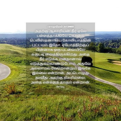 Picture 04 - 1 சாமுவேல் 21:9 TAMIRV - அதற்கு ஆசாரியன்: - Bible Verse Picture