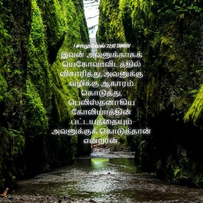 Picture 04 - 1 சாமுவேல் 22:10 TAMIRV - இவன் அவனுக்காகக் - Bible Verse Picture