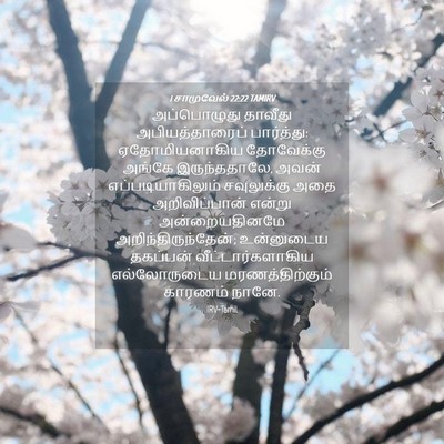 Picture 04 - 1 சாமுவேல் 22:22 TAMIRV - அப்பொழுது தாவீது - Bible Verse Picture