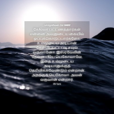 Picture 04 - 1 சாமுவேல் 23:11 TAMIRV - கேகிலா - Bible Verse Picture