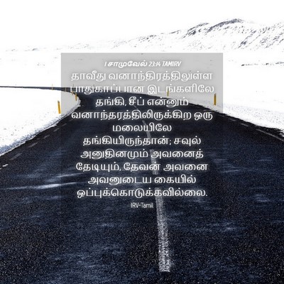 Picture 04 - 1 சாமுவேல் 23:14 TAMIRV - தாவீது - Bible Verse Picture
