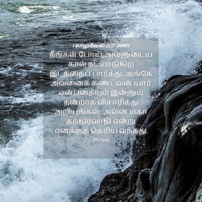 Picture 04 - 1 சாமுவேல் 23:22 TAMIRV - நீங்கள் போய், - Bible Verse Picture