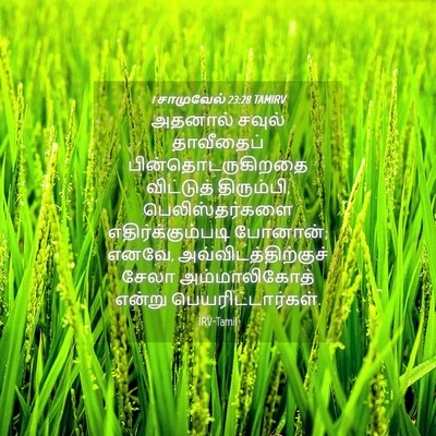 Picture 04 - 1 சாமுவேல் 23:28 TAMIRV - அதனால் சவுல் - Bible Verse Picture