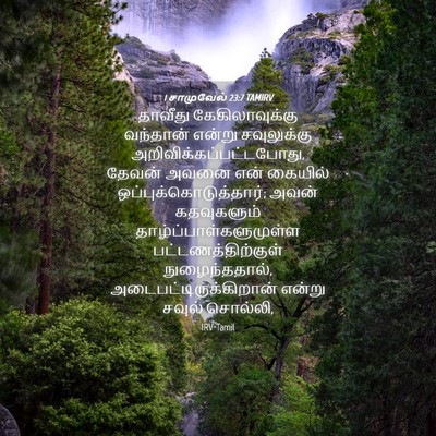 Picture 04 - 1 சாமுவேல் 23:7 TAMIRV - தாவீது - Bible Verse Picture