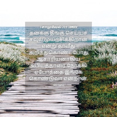 Picture 04 - 1 சாமுவேல் 23:9 TAMIRV - தனக்கு தீங்கு - Bible Verse Picture