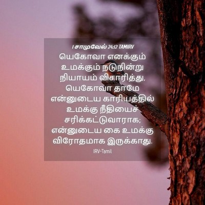 Picture 04 - 1 சாமுவேல் 24:12 TAMIRV - யெகோவா எனக்கும் - Bible Verse Picture