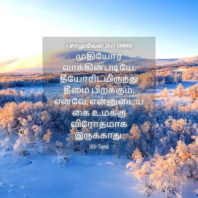 Picture 04 - 1 சாமுவேல் 24:13 TAMIRV - முதியோர் - Bible Verse Picture