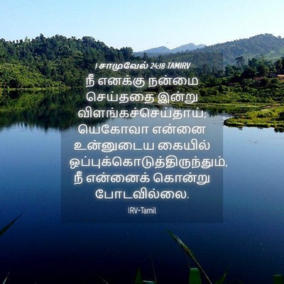 Picture 04 - 1 சாமுவேல் 24:18 TAMIRV - நீ எனக்கு நன்மை - Bible Verse Picture