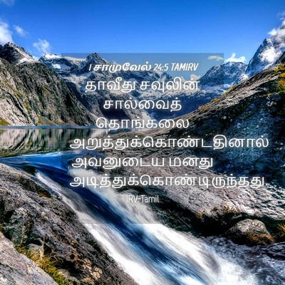 Picture 04 - 1 சாமுவேல் 24:5 TAMIRV - தாவீது சவுலின் - Bible Verse Picture