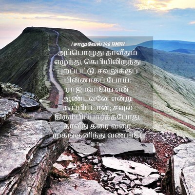Picture 04 - 1 சாமுவேல் 24:8 TAMIRV - அப்பொழுது - Bible Verse Picture