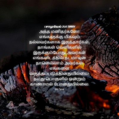 Picture 04 - 1 சாமுவேல் 25:15 TAMIRV - அந்த மனிதர்களோ - Bible Verse Picture