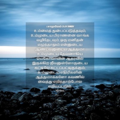 Picture 04 - 1 சாமுவேல் 25:29 TAMIRV - உம்மைத் - Bible Verse Picture