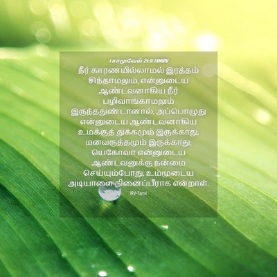 Picture 04 - 1 சாமுவேல் 25:31 TAMIRV - நீர் - Bible Verse Picture
