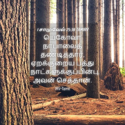 Picture 04 - 1 சாமுவேல் 25:38 TAMIRV - யெகோவா நாபாலைத் - Bible Verse Picture
