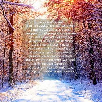 Picture 04 - 1 சாமுவேல் 25:39 TAMIRV - நாபால் - Bible Verse Picture