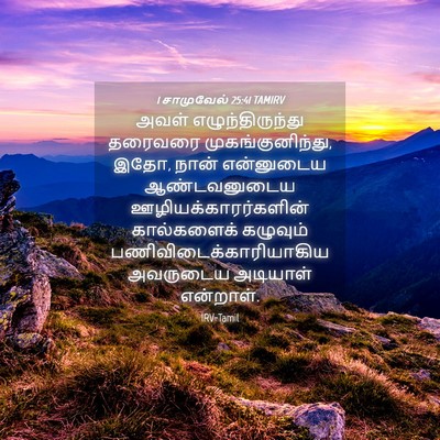 Picture 04 - 1 சாமுவேல் 25:41 TAMIRV - அவள் - Bible Verse Picture