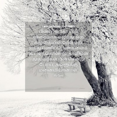 Picture 04 - 1 சாமுவேல் 25:42 TAMIRV - பின்பு அபிகாயில் - Bible Verse Picture