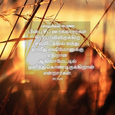 Picture 04 - 1 சாமுவேல் 26:1 TAMIRV - பின்பு சீப் - Bible Verse Picture