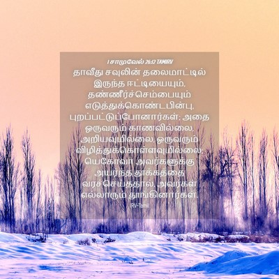 Picture 04 - 1 சாமுவேல் 26:12 TAMIRV - தாவீது சவுலின் - Bible Verse Picture