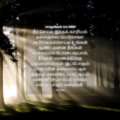 Picture 04 - 1 சாமுவேல் 26:16 TAMIRV - நீர் செய்த இந்தக் - Bible Verse Picture