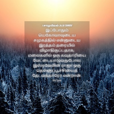 Picture 04 - 1 சாமுவேல் 26:20 TAMIRV - இப்போதும் - Bible Verse Picture