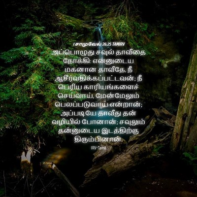 Picture 04 - 1 சாமுவேல் 26:25 TAMIRV - அப்பொழுது சவுல் - Bible Verse Picture