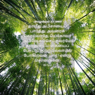 Picture 04 - 1 சாமுவேல் 26:9 TAMIRV - தாவீது அபிசாயைப் - Bible Verse Picture