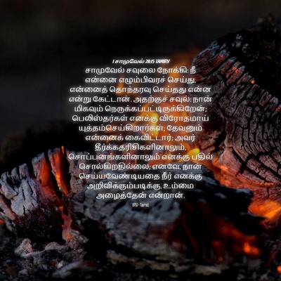 Picture 04 - 1 சாமுவேல் 28:15 TAMIRV - சாமுவேல் சவுலை - Bible Verse Picture