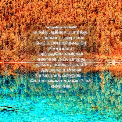 Picture 04 - 1 சாமுவேல் 28:2 TAMIRV - தாவீது ஆகீசைப் - Bible Verse Picture