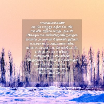 Picture 04 - 1 சாமுவேல் 28:21 TAMIRV - அப்பொழுது அந்த - Bible Verse Picture