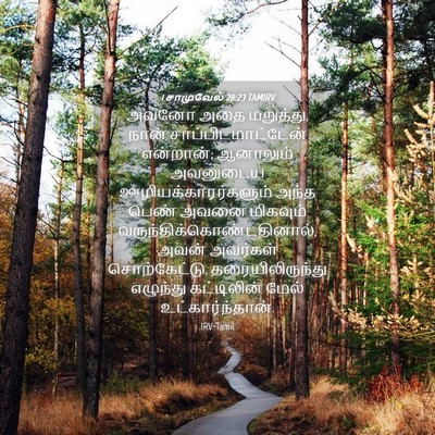 Picture 04 - 1 சாமுவேல் 28:23 TAMIRV - அவனோ அதை மறுத்து, - Bible Verse Picture