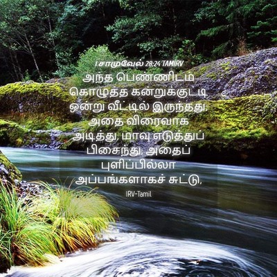 Picture 04 - 1 சாமுவேல் 28:24 TAMIRV - அந்த பெண்ணிடம் - Bible Verse Picture