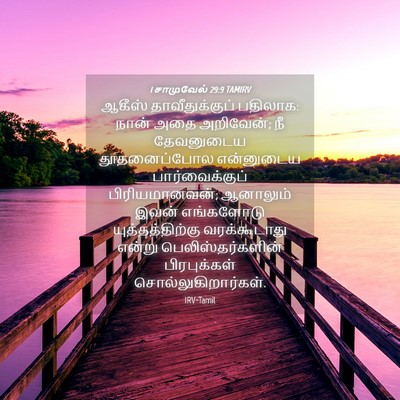 Picture 04 - 1 சாமுவேல் 29:9 TAMIRV - ஆகீஸ் - Bible Verse Picture