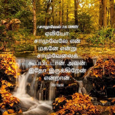 Picture 04 - 1 சாமுவேல் 3:16 TAMIRV - ஏலியோ: சாமுவேலே, - Bible Verse Picture