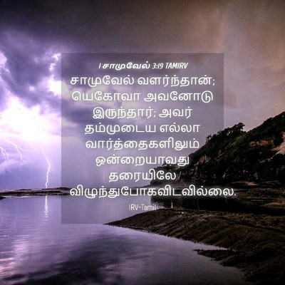 Picture 04 - 1 சாமுவேல் 3:19 TAMIRV - சாமுவேல் - Bible Verse Picture