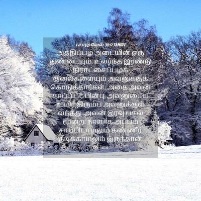 Picture 04 - 1 சாமுவேல் 30:12 TAMIRV - அத்திப்பழ அடையின் - Bible Verse Picture
