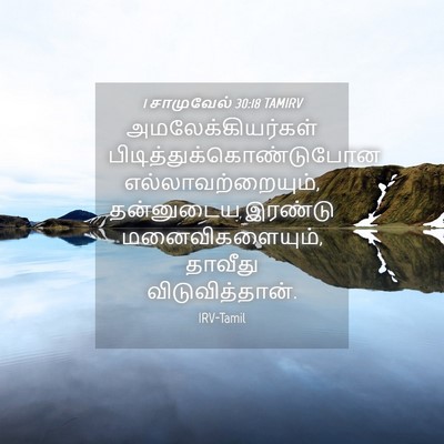 Picture 04 - 1 சாமுவேல் 30:18 TAMIRV - அமலேக்கியர்கள் - Bible Verse Picture