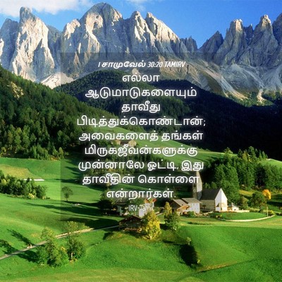 Picture 04 - 1 சாமுவேல் 30:20 TAMIRV - எல்லா - Bible Verse Picture