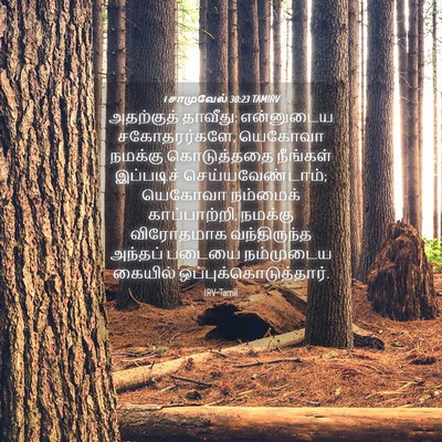 Picture 04 - 1 சாமுவேல் 30:23 TAMIRV - அதற்குத் தாவீது: - Bible Verse Picture
