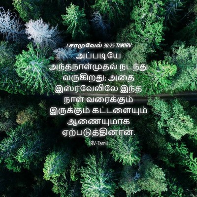 Picture 04 - 1 சாமுவேல் 30:25 TAMIRV - அப்படியே - Bible Verse Picture