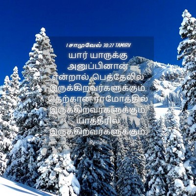 Picture 04 - 1 சாமுவேல் 30:27 TAMIRV - யார் யாருக்கு - Bible Verse Picture