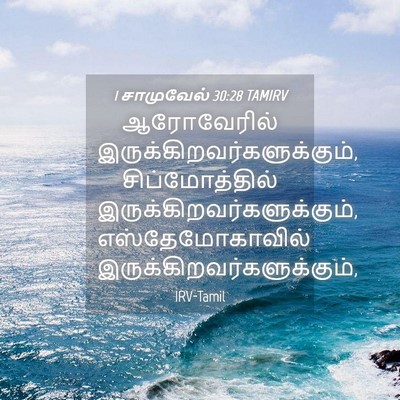 Picture 04 - 1 சாமுவேல் 30:28 TAMIRV - ஆரோவேரில் - Bible Verse Picture