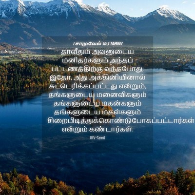 Picture 04 - 1 சாமுவேல் 30:3 TAMIRV - தாவீதும் அவனுடைய - Bible Verse Picture