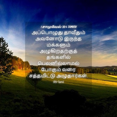 Picture 04 - 1 சாமுவேல் 30:4 TAMIRV - அப்பொழுது - Bible Verse Picture