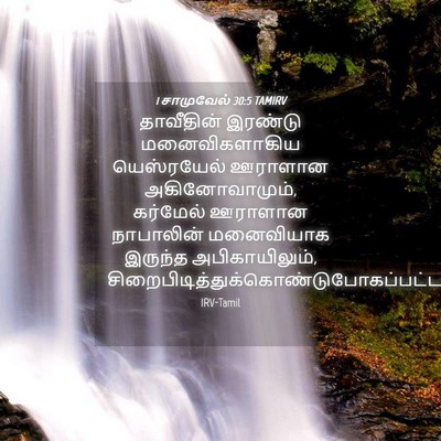Picture 04 - 1 சாமுவேல் 30:5 TAMIRV - தாவீதின் இரண்டு - Bible Verse Picture