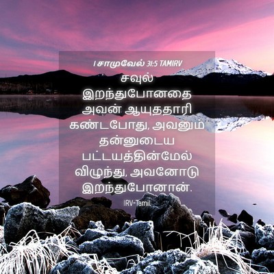 Picture 04 - 1 சாமுவேல் 31:5 TAMIRV - சவுல் இறந்துபோனதை - Bible Verse Picture